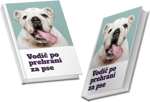 Želim prejeti e-revijo Vodič po prehrani za pse