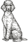 dog-2