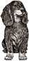 dog-3