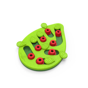 https://charly.devbplanet.si/uploads/products/38ec781c-0884-44e6-8a8c-a53fc873127d/small/nina-ottosson-puzzle-a-play-buggin-out---interaktivna-igraca-za-macko6.jpg