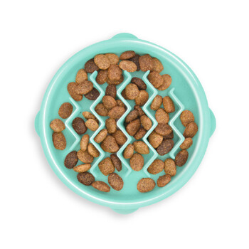 https://charly.devbplanet.si/uploads/products/d32a55fb-5a06-4db1-a99b-3f1ab3c40e0d/small/outward-hound-fun-feeder-wave---posoda-za-pocasno-hranjenje.jpg
